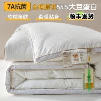 A类母婴级大豆纤维被子夏被二合一子母被棉被春秋被芯冬被