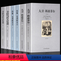 世界经典名著全套6册 [正版]全套6册 大卫科波菲尔 约翰·克利斯朵夫 卡拉马佐夫兄弟外国文学小说名著套装书籍名原著中文