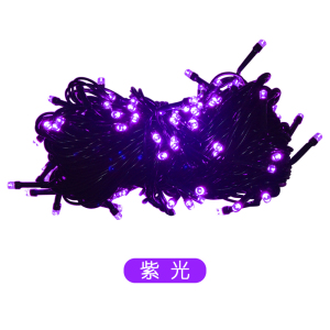 格瑞捷 LED彩灯串/满天星彩灯串 LED-10M-100T 0.06W 10m 公母插可串联