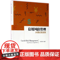 信用风险管理(从理论到实务)