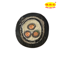 傻实在 电缆 国标全项保检 YJV22 3*2.5mm² 米