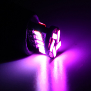 晗枫鸟 示宽灯改装汽车led小灯泡t10超亮阅读灯牌照灯12v插灯泡通用 个