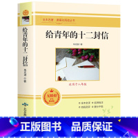 给青年的十二封信 [正版]朝花夕拾西游记原著骆驼祥子海底两万里昆虫记钢铁是怎样炼成的艾青诗选水浒传简爱儒林外史初中七八九