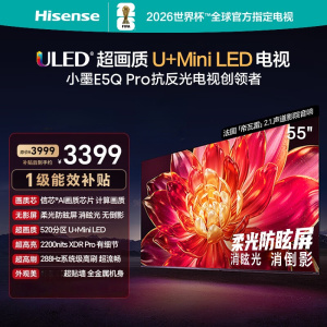 海信电视小墨 55E5Q Pro 55英寸 520分区U+MiniLED 信芯芯片消眩光柔光防眩屏 国家补贴