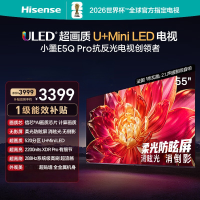 海信电视小墨 55E5Q Pro 55英寸 520分区U+MiniLED 信芯芯片消眩光柔光防眩屏 国家补贴