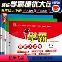 3本-语文+数学+英语-人教版 五年级下 [正版]2024新版 经纶学霸提优大试卷五年级下语文数学英语人教版苏教版译林版