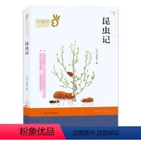 昆虫记 [正版]语文经典书系名著 昆虫记 世界儿童经典读书6-12周岁三四五六年级小学生初中儿童课外读物文学书籍故事书南