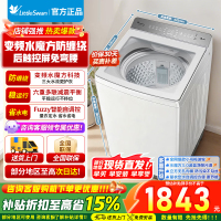 小天鹅小乌梅2.0/水魔方波轮洗衣机全自动10公斤一级能效TB10VE20DW 白色高颜值