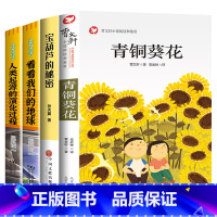 [全4册]青铜葵花+宝葫芦的秘密+看看我们的地球+人类起源的演化过程 [正版]青铜葵花曹文轩 四年级阅读课外书阅读小英雄