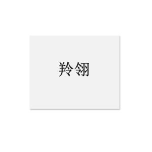 羚翎 120×80mm 标签(计价单位:个)白色