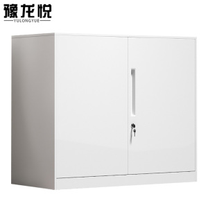 豫龙悦文件柜