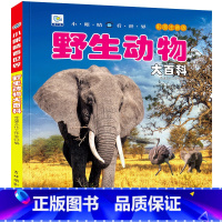 [任选3本39元]野生动物 [正版]海洋大百科注音版儿童科普绘本小百科读物全套科学启蒙认知幼儿少儿宝宝儿童3-6-8-9
