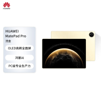 HUAWEI MatePad Pro 13.2英寸 2025平板电脑 OLED柔性护眼屏12+256GB 流金 柔光版