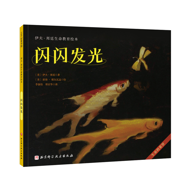 音像闪闪发光(美)伊夫·邦廷著