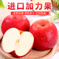 [熊猫鸟]新西兰进口gala加力苹果 12粒装 单果140g-160g 皇后甜脆苹果