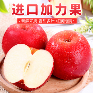 [熊猫鸟]新西兰进口gala加力苹果 12粒装 单果140g-160g 皇后甜脆苹果