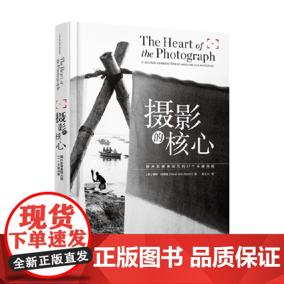 摄影的核心 提升影像表现力的27个关键问题 戴维·杜舍明 著 摄影