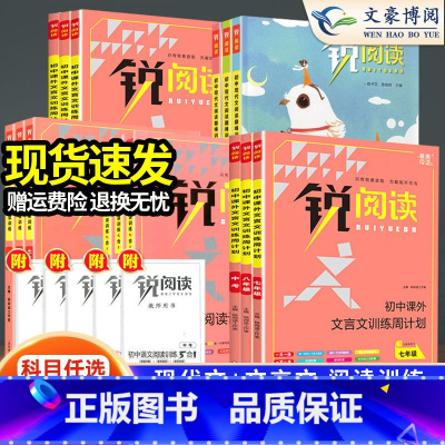 全套 5本[现代文2本+文言文2本+五合一1本] 八年级/初中二年级 [正版]锐阅读初中语文阅读组合训练五合一七八九年级
