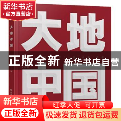 正版 大地中国 陈帆 电子工业出版社 9787121398773 书籍