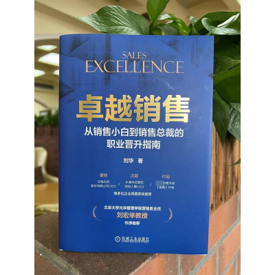 卓越销售:从销售小白到销售总裁的职业晋升指南