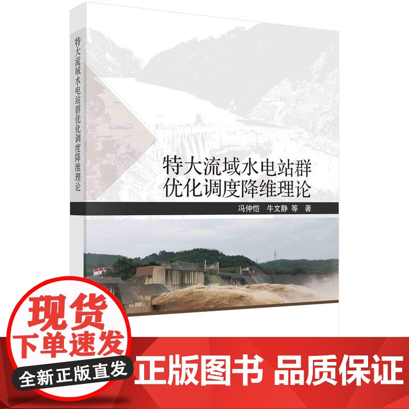 [按需印刷]特大流域水电站群优化调度降维理论