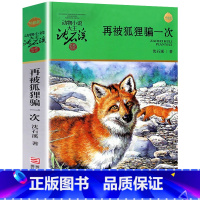 再被狐狸骗一次 [正版]完整版再被狐狸骗一次全本沈石溪的图书籍动物小说大王品藏系列小学生四五六年级儿童文学作品珍藏大全全