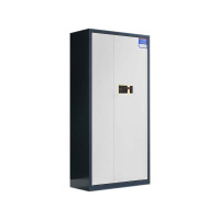 DXBG保密柜财务档案柜文件柜办公室资料储物柜保险柜通体灰框白门-指纹密码锁灰白