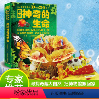 3D创意立体书:揭秘神奇的生命 [正版]巨童给孩子看的3d创意立体书揭秘神奇的生命儿童3d翻翻书立体绘本0-3周岁1-2