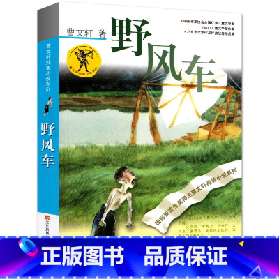 [正版]野风车 书 曹文轩纯美小说系列青少年版儿童文学 三四五六年级小学生课外阅读必读书籍 江苏凤凰少年儿童出版社 含