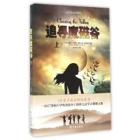 正版新书]追寻魔磁谷(上)/小小翻译家译丛(澳大利亚)斯凯·梅尔基