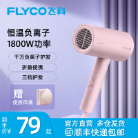 飞科(FLYCO)吹风机 家用电吹风负离子深度养发大功率 便携家用学生宿舍可折叠吹风机FH6278