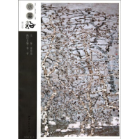 正版新书]水墨缘:第13卷张培础9787548028109