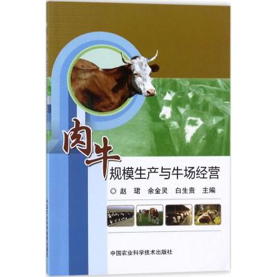 肉牛规模生产与牛场经营