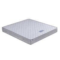 合祥源 GT00138 椰棕弹簧床垫 1500*2000*200mm (计价单位:块)
