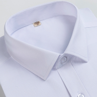 恒源祥纯棉免烫衬衣男长袖秋季商务正装条纹上班男士短袖衬衫工装