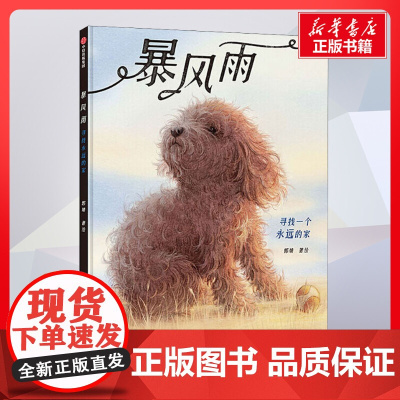 暴风雨 寻找一个永远的家 郭婧著 儿童文学小学生课外阅读书籍正版6-7-8-9-10岁一年级二年级三年级四年级寒暑假课外