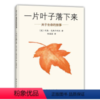 一片叶子落下来绘本 关于生命的故事 [正版] 一片叶子落下来绘本 关于生命的故事 3-6岁幼儿园儿童图书亲子阅读故事书幼
