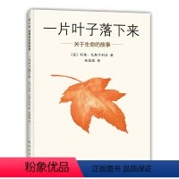 一片叶子落下来绘本 关于生命的故事 [正版] 一片叶子落下来绘本 关于生命的故事 3-6岁幼儿园儿童图书亲子阅读故事书幼