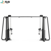 韦步EM1026A商用大飞鸟龙门架引体向上臂屈伸力量训练器械