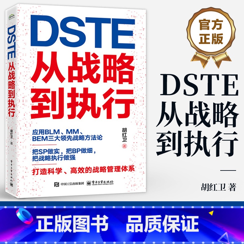DSTE 从战略到执行 胡红卫 DSTE管理变革 企业战略管理理论实践 BLM MM BEM三大领先战略方法论应用 战略