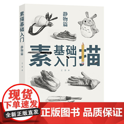 素描基础入门 静物篇