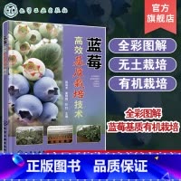 [正版]蓝莓高效基质栽培技术 曾其龙 蓝莓基质栽培的现状与发展蓝莓生物学特性 全彩图解蓝莓基质栽培 蓝莓专业技术人员科