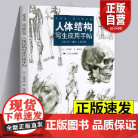 人体结构写生应用手帖三泽宽志 女生人体结构造型设计手绘素描技法艺用人体结构解剖 动漫人物素描速写写生临摹基础入门教学教程