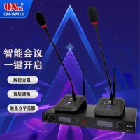 启诺 QN-WM12一拖二无线会议鹅颈话筒 黑色(套)