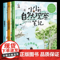 小小的自然观察笔记全3册儿童绘本3-6岁科普启蒙青少年读物百科全书三四年级课外阅读五六年级课外阅读书籍小学生科普读物