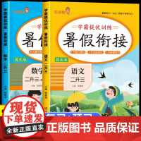 2025暑假衔接二升三语文数学人教版 小学二年级下册暑假作业2年级下学期暑假预复习一本通2升3RJ