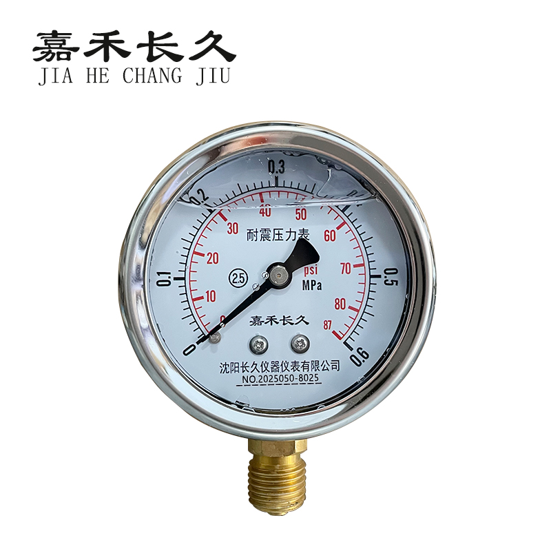 嘉禾长久 耐震压力表检测型 YTN100 块