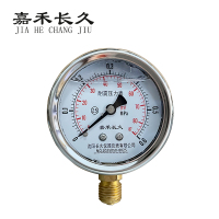 嘉禾长久 耐震压力表检测型 YTN100 块