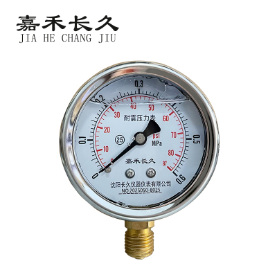 嘉禾长久 耐震压力表检测型 YTN100 块