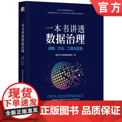 正版 一本书讲透数据治理 战略 方法 工具与实践 用友平台与数据智能团队 用户画像 DAMA 标签 数据管理